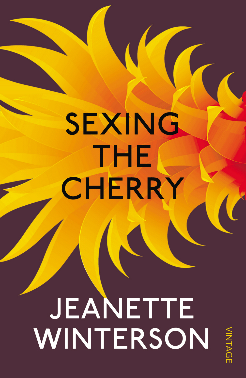 Sexing The Cherry Jeanette Winterson