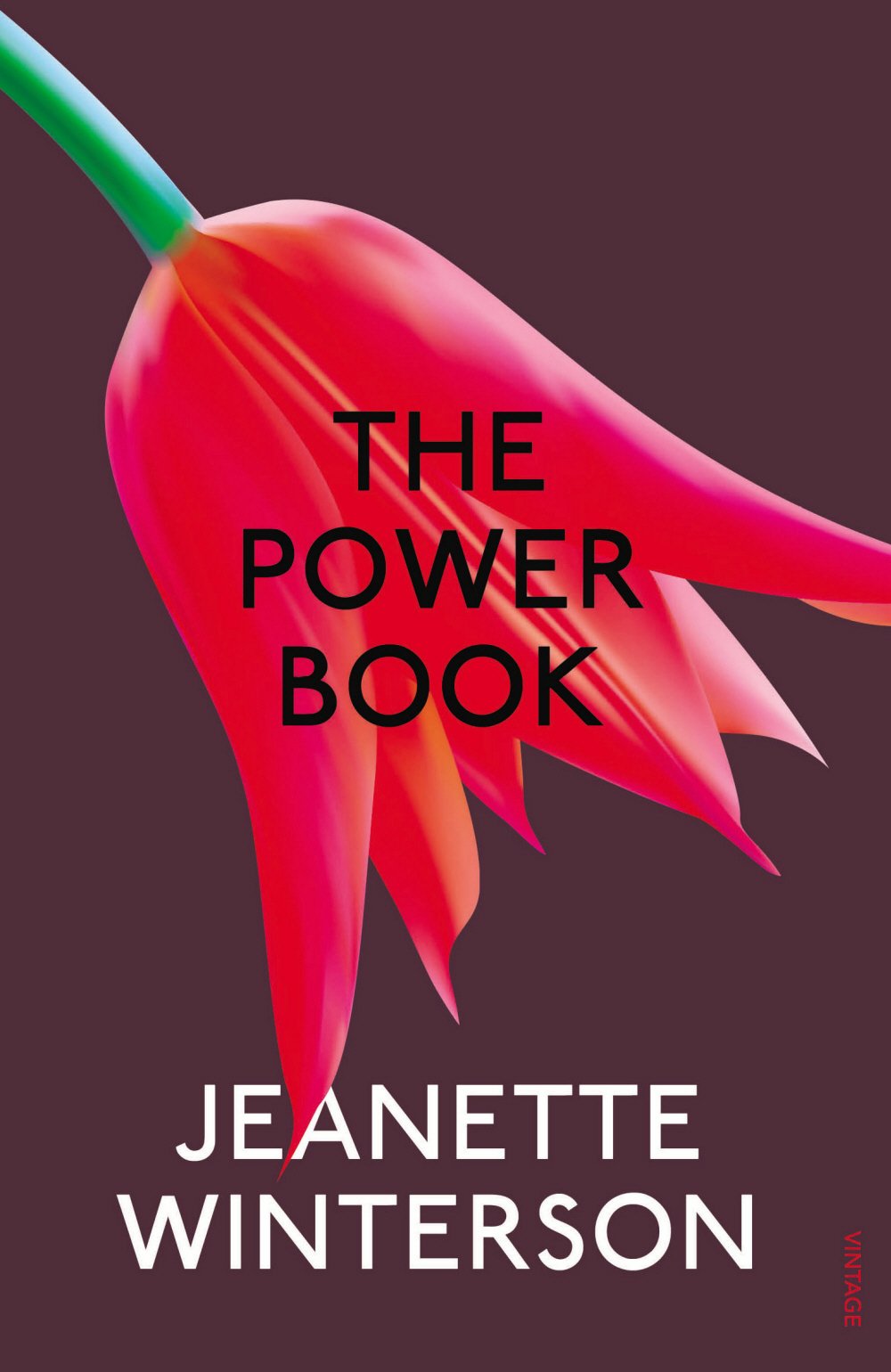 The Powerbook Jeanette Winterson