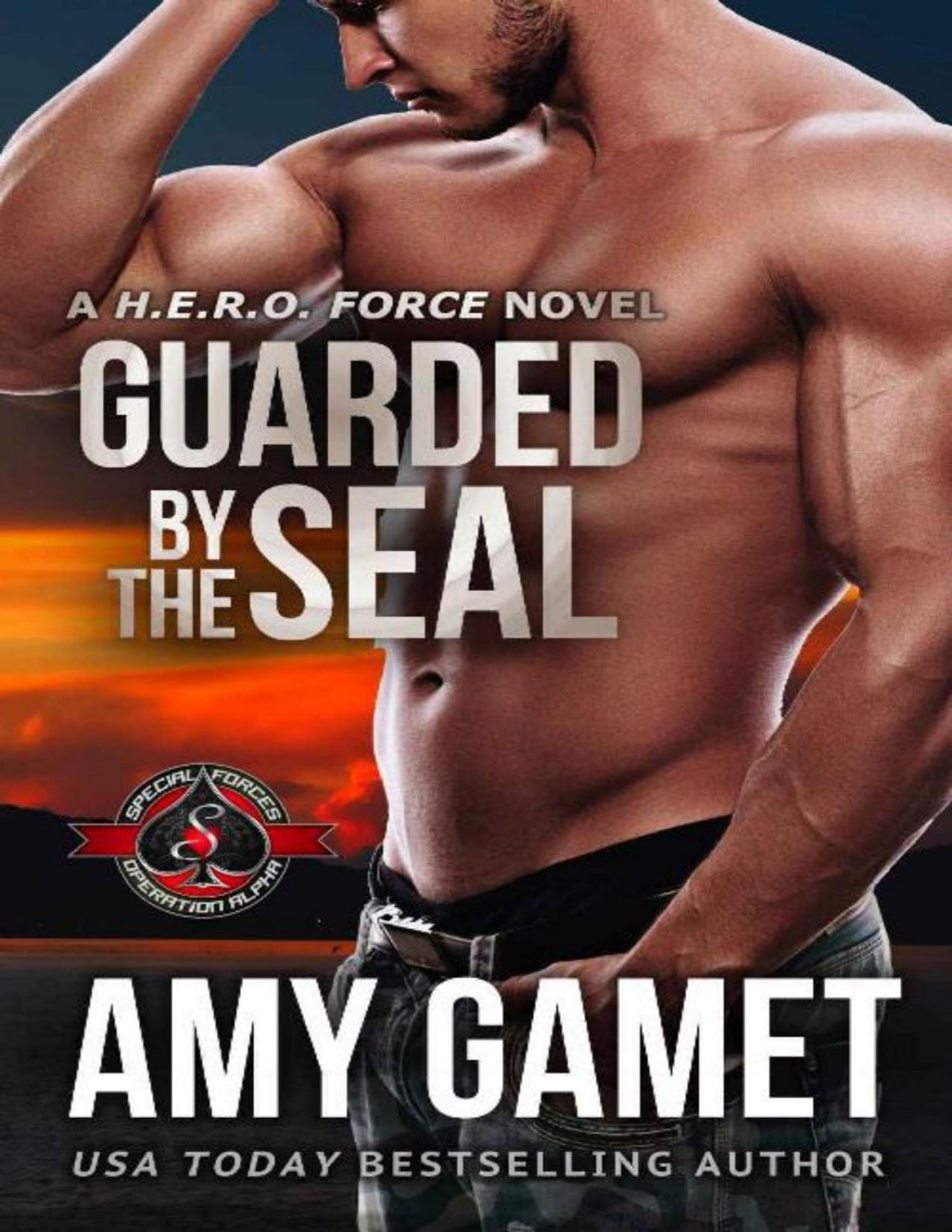 Guarded By The Seal Special Forces Operation Alpha A Hero Force Novel Amy Gamet Operation Alpha