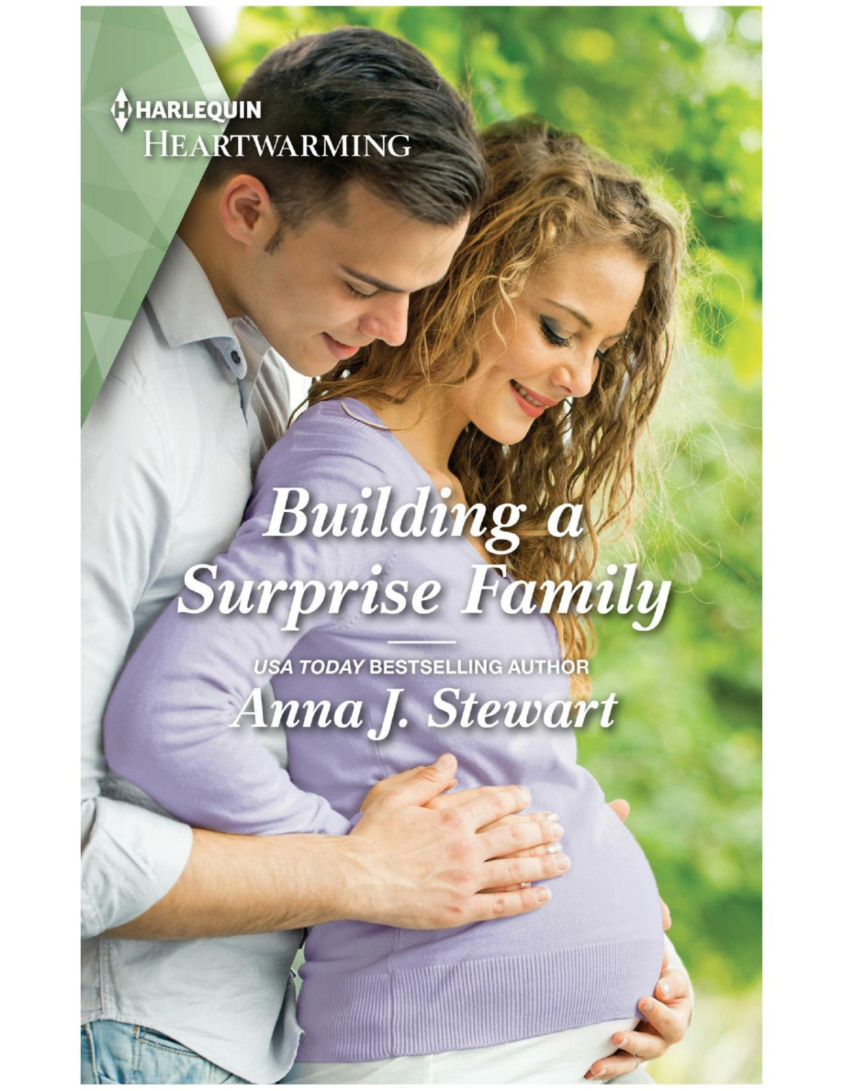 Building A Surprise Family Anna J Stewart