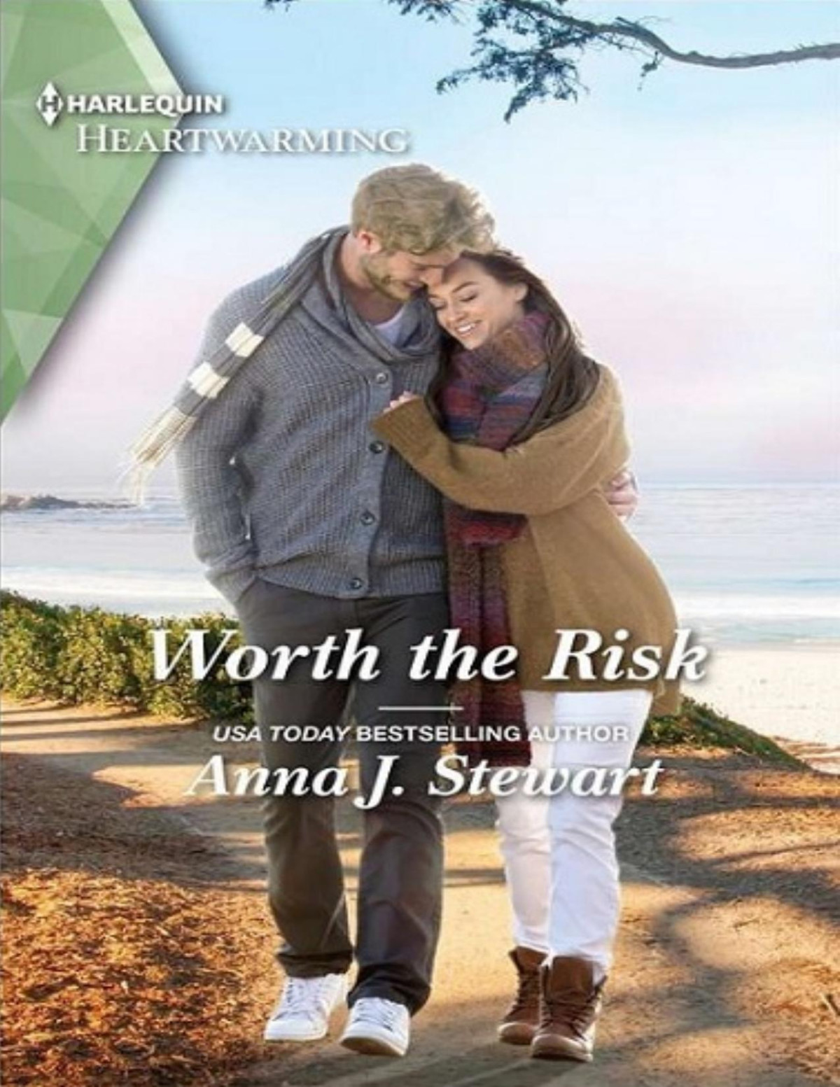 Worth The Risk Anna J Stewart