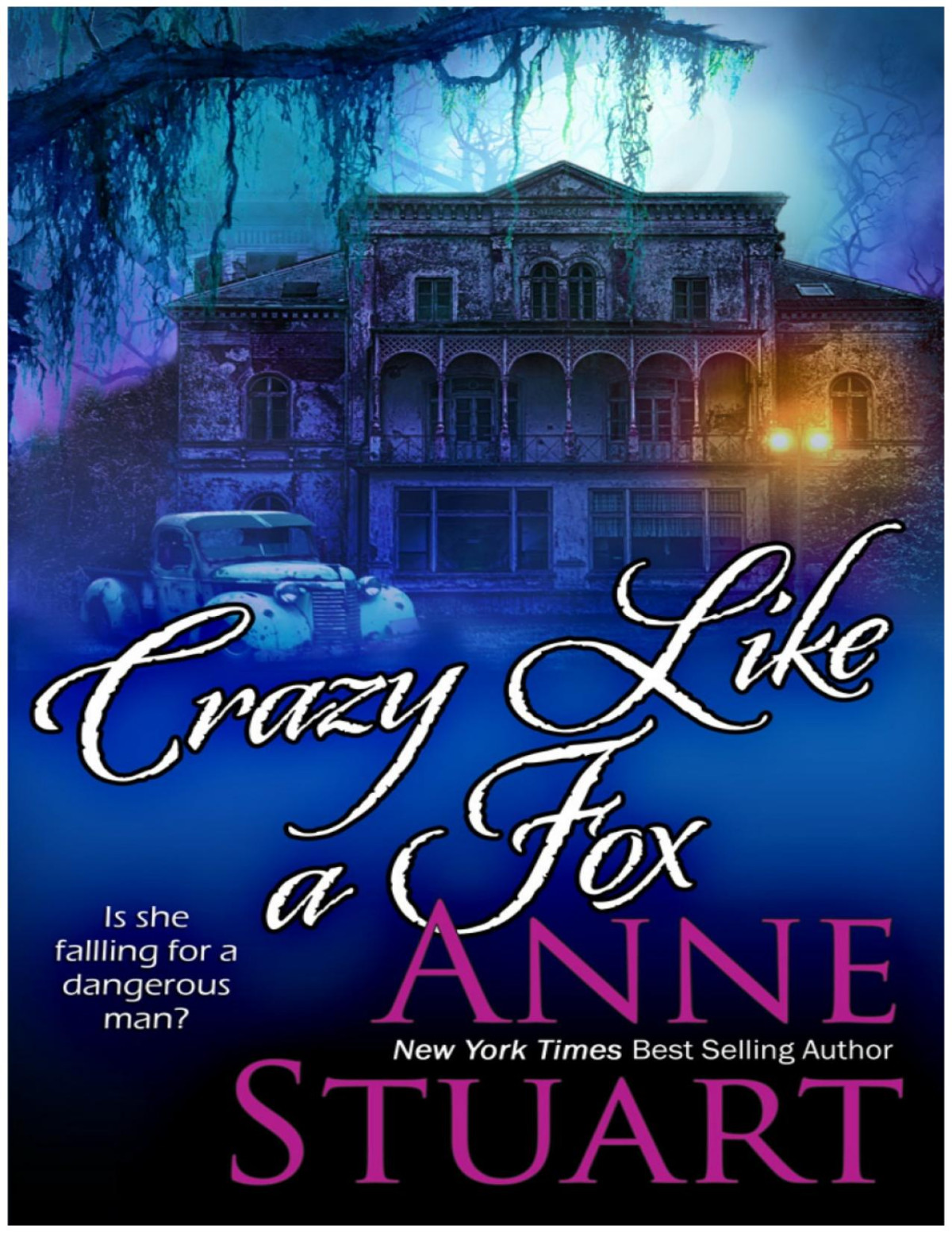 Crazy Like A Fox Anne Stuart