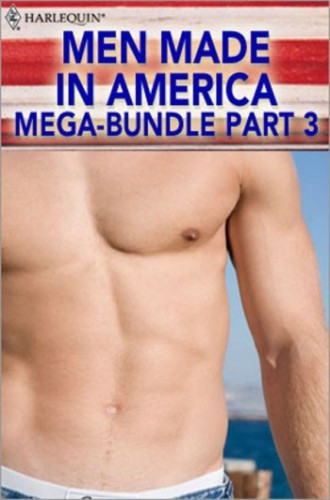 Men Made In America Megabundle Part 3 Curtiss Ann Matlock