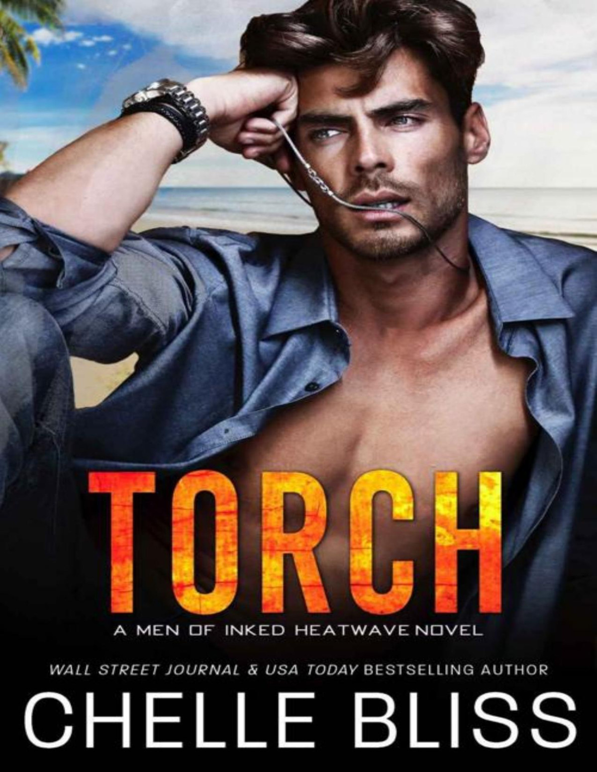 Torch Men Of Inked Heatwave Book 11 Chelle Bliss