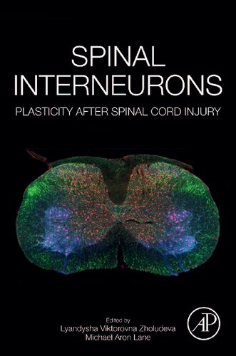 Spinal Interneurons Lyandysha Viktorovna Zholudeva Michael Aron Lane
