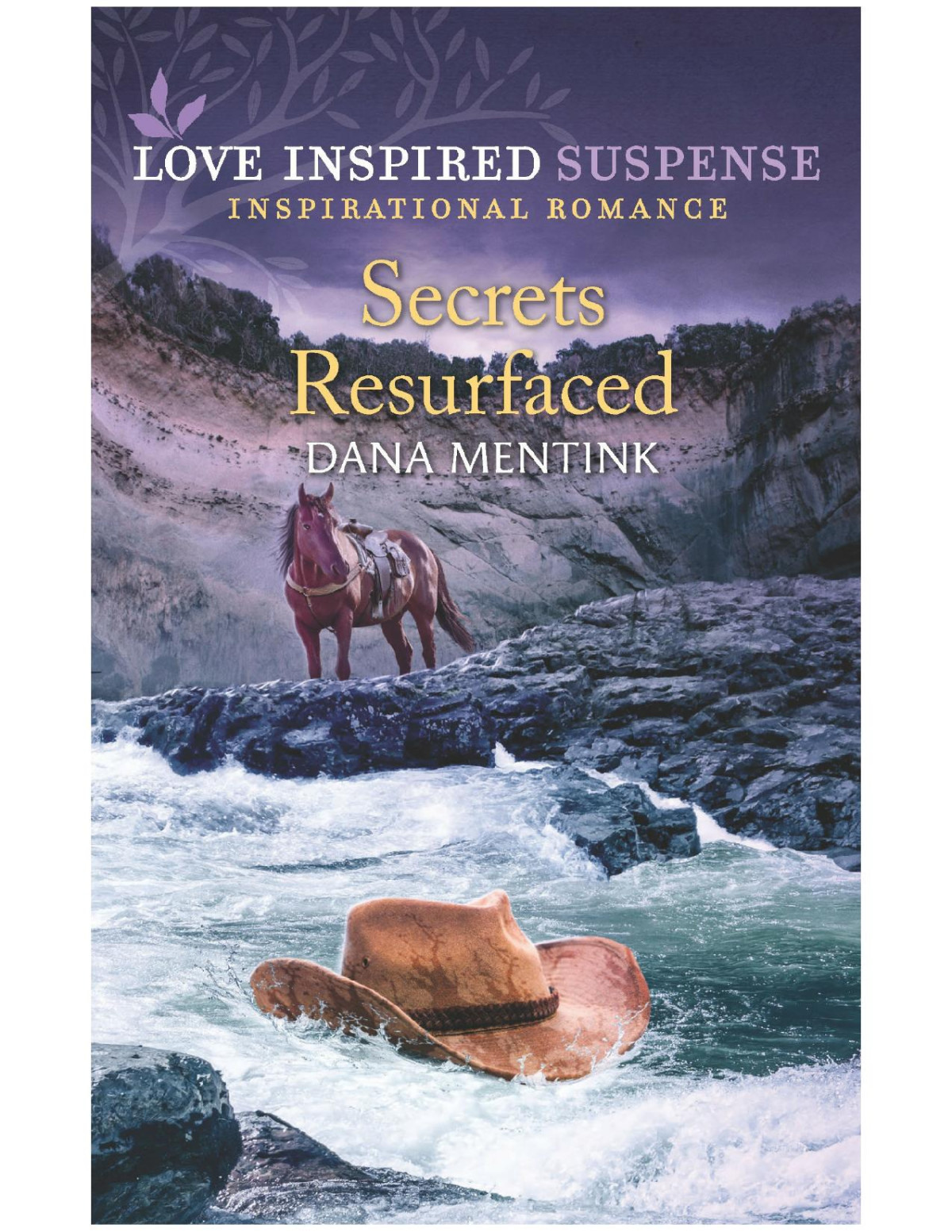 Secrets Resurfaced Dana Mentink