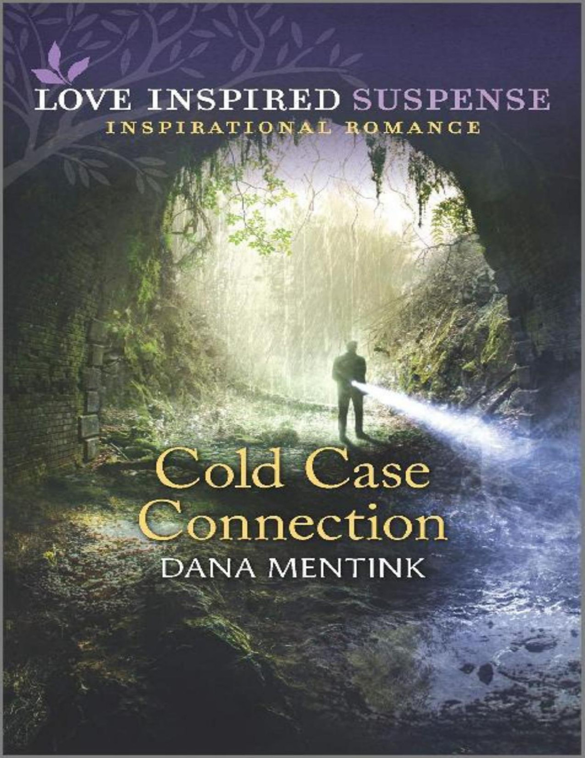 Cold Case Connection Dana Mentink