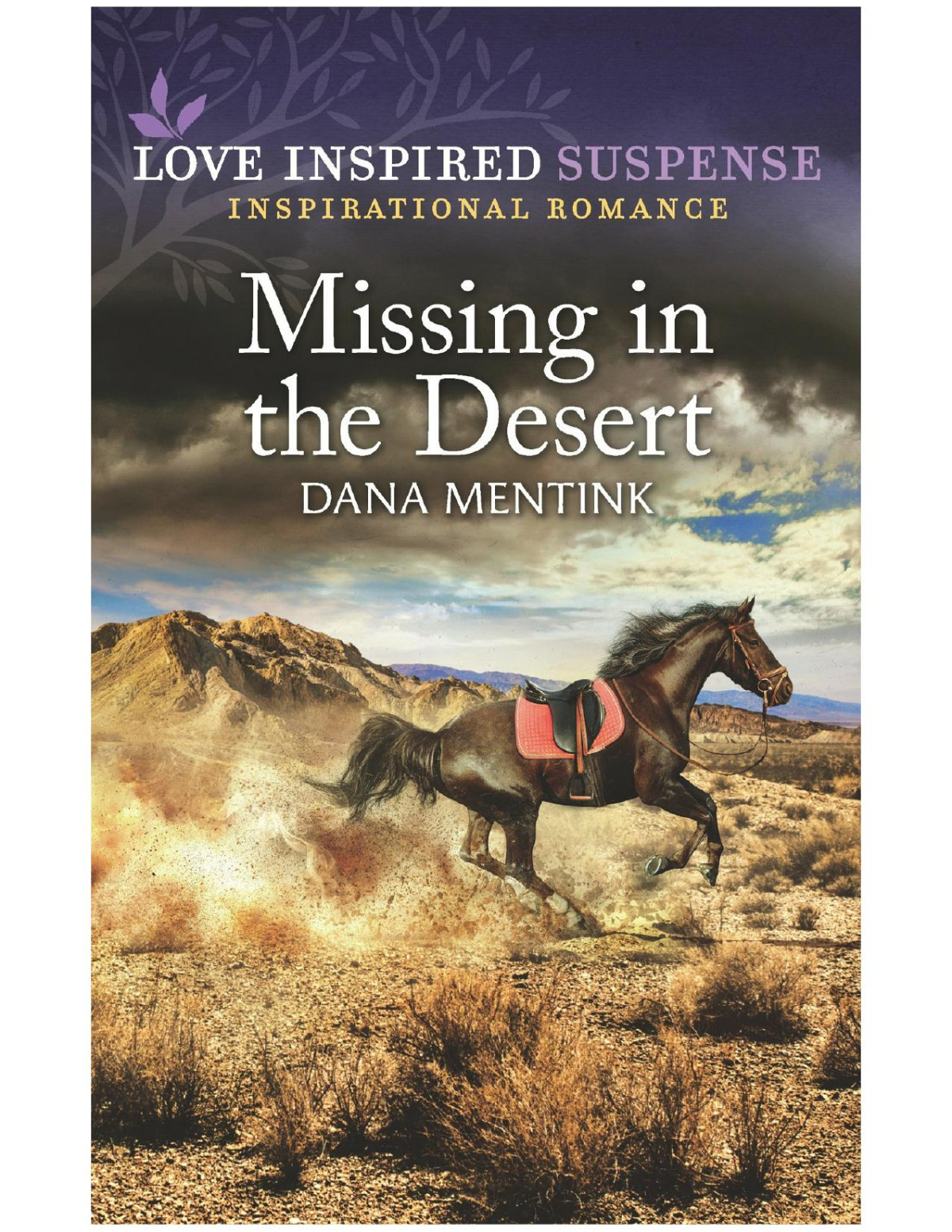 Missing In The Desert Dana Mentink
