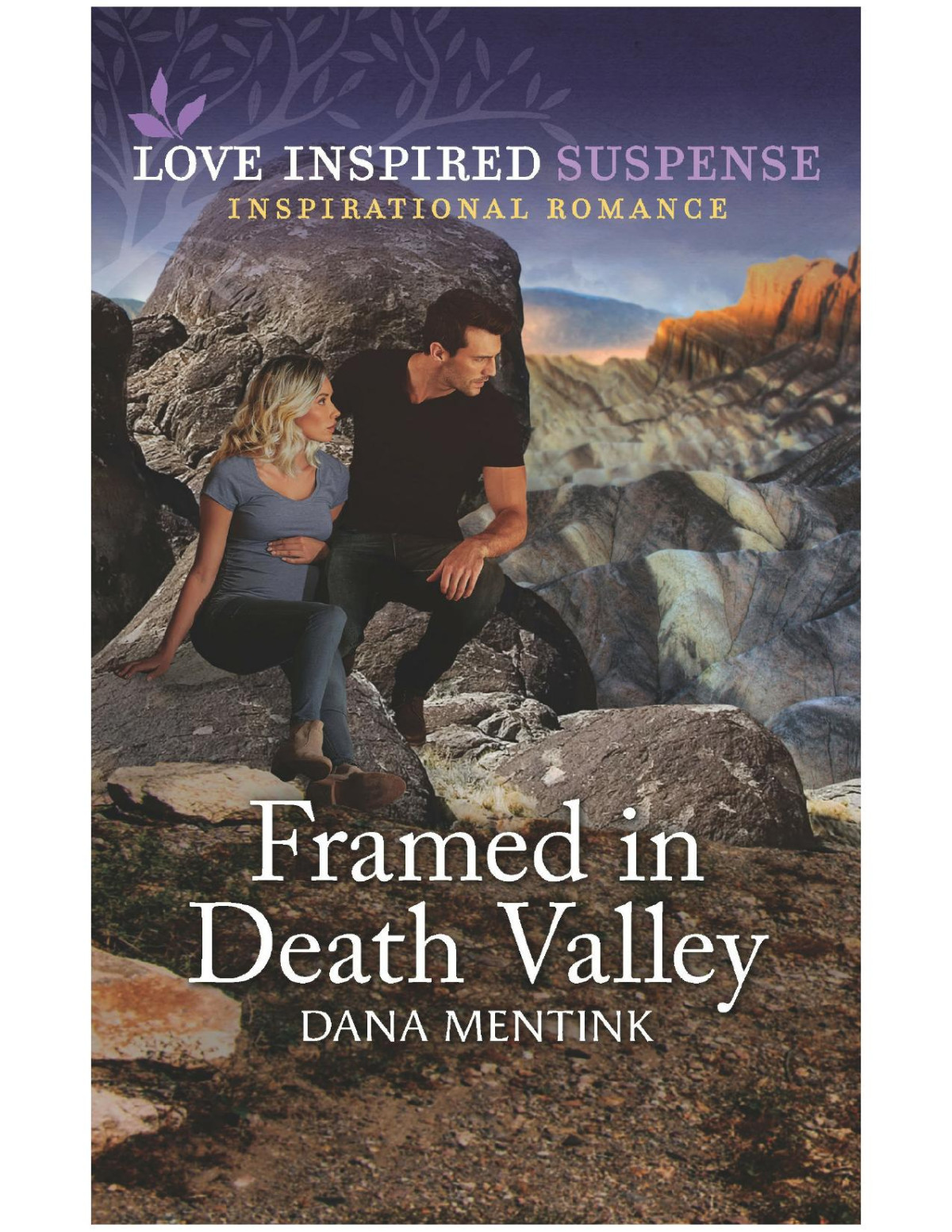 Framed In Death Valley Dana Mentink