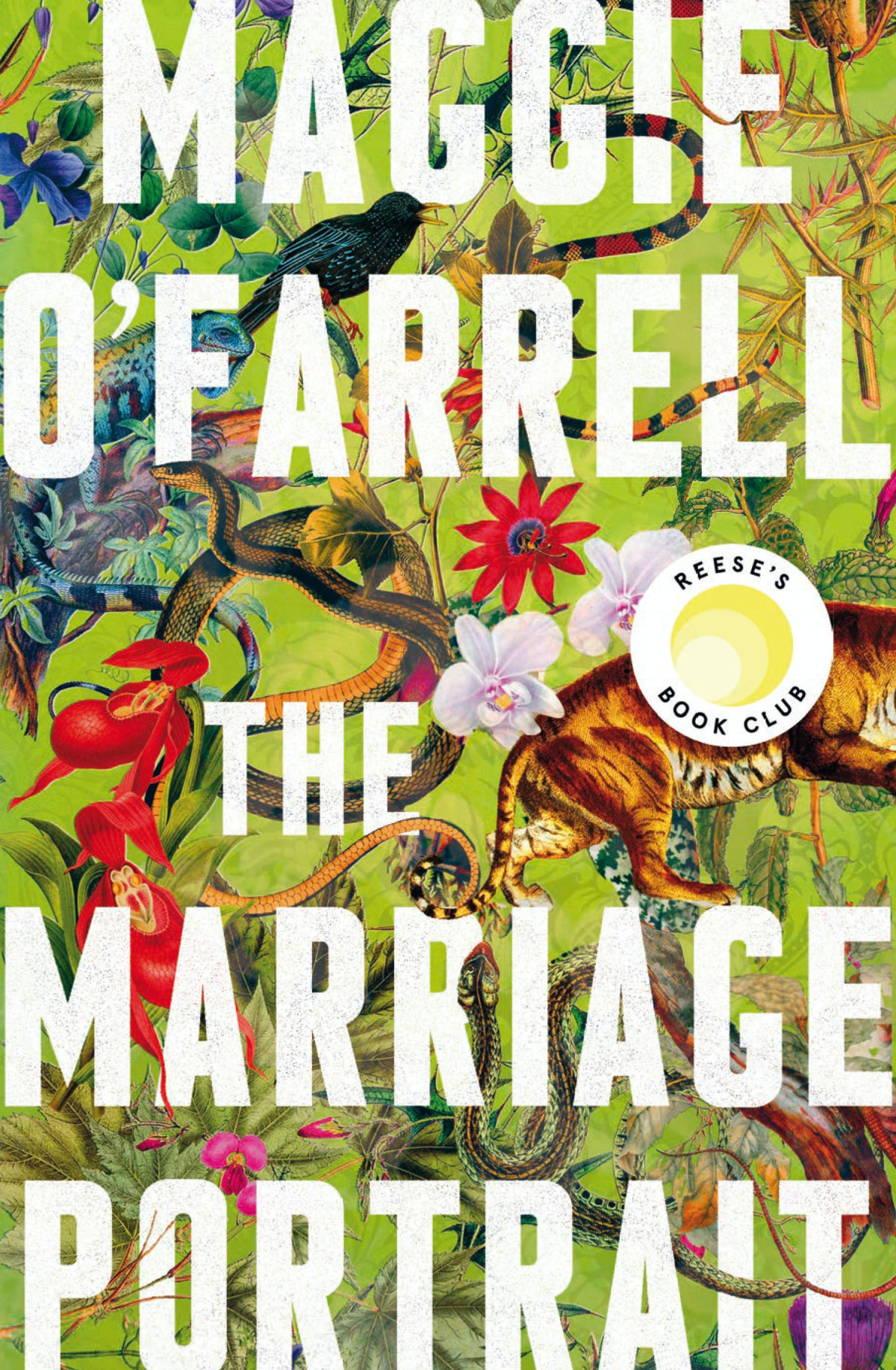 The Marriage Portrait Maggie Ofarrell