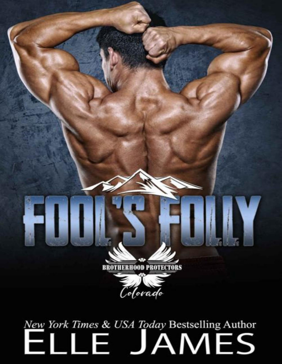 Fools Folly 1st Edition Elle James