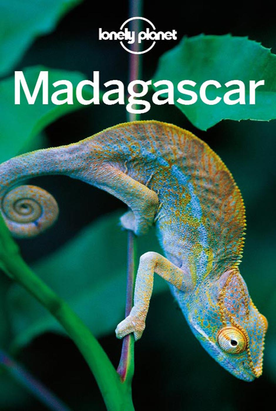 Madagascar Travel Guide 7th Edition Lonely Planet