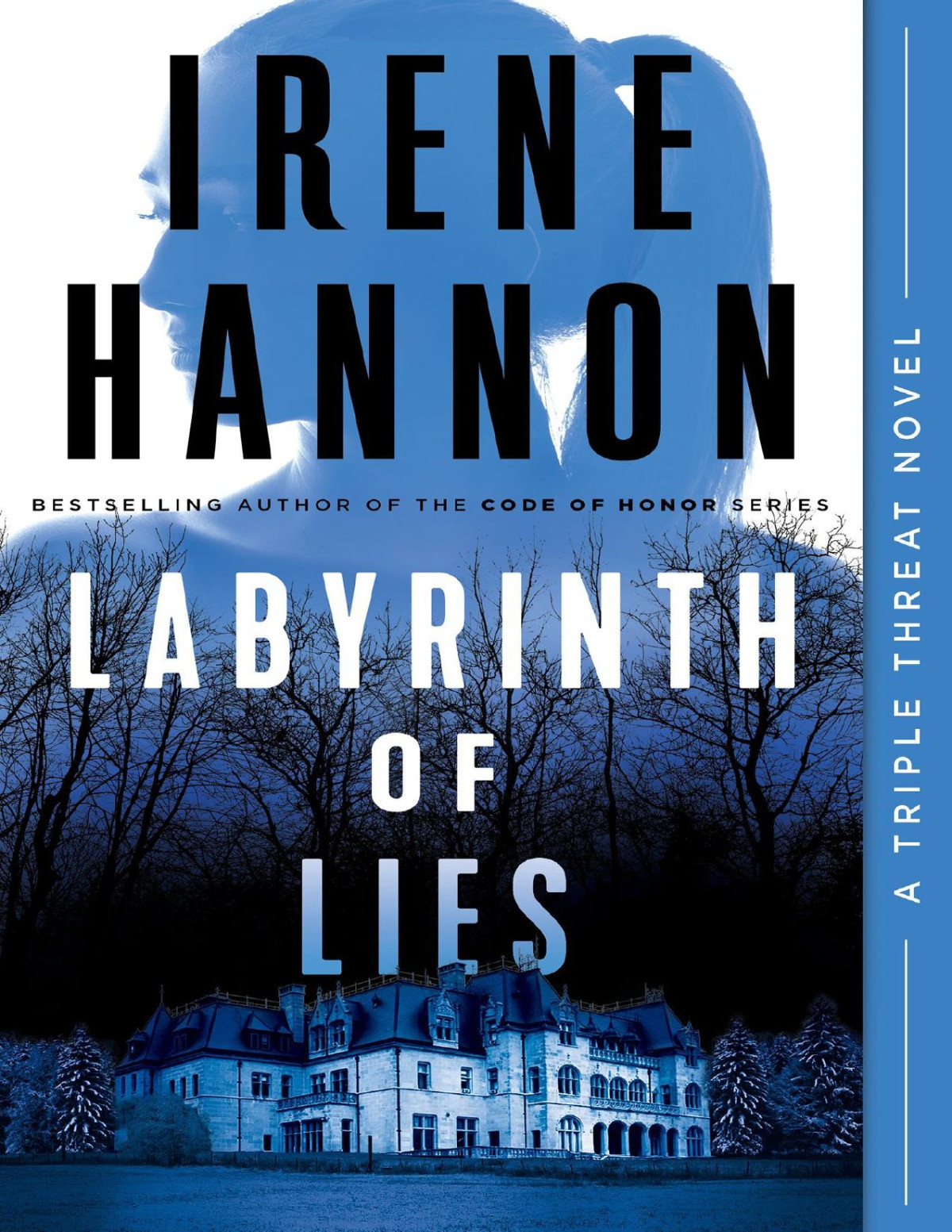 Labyrinth Of Lies Irene Hannon