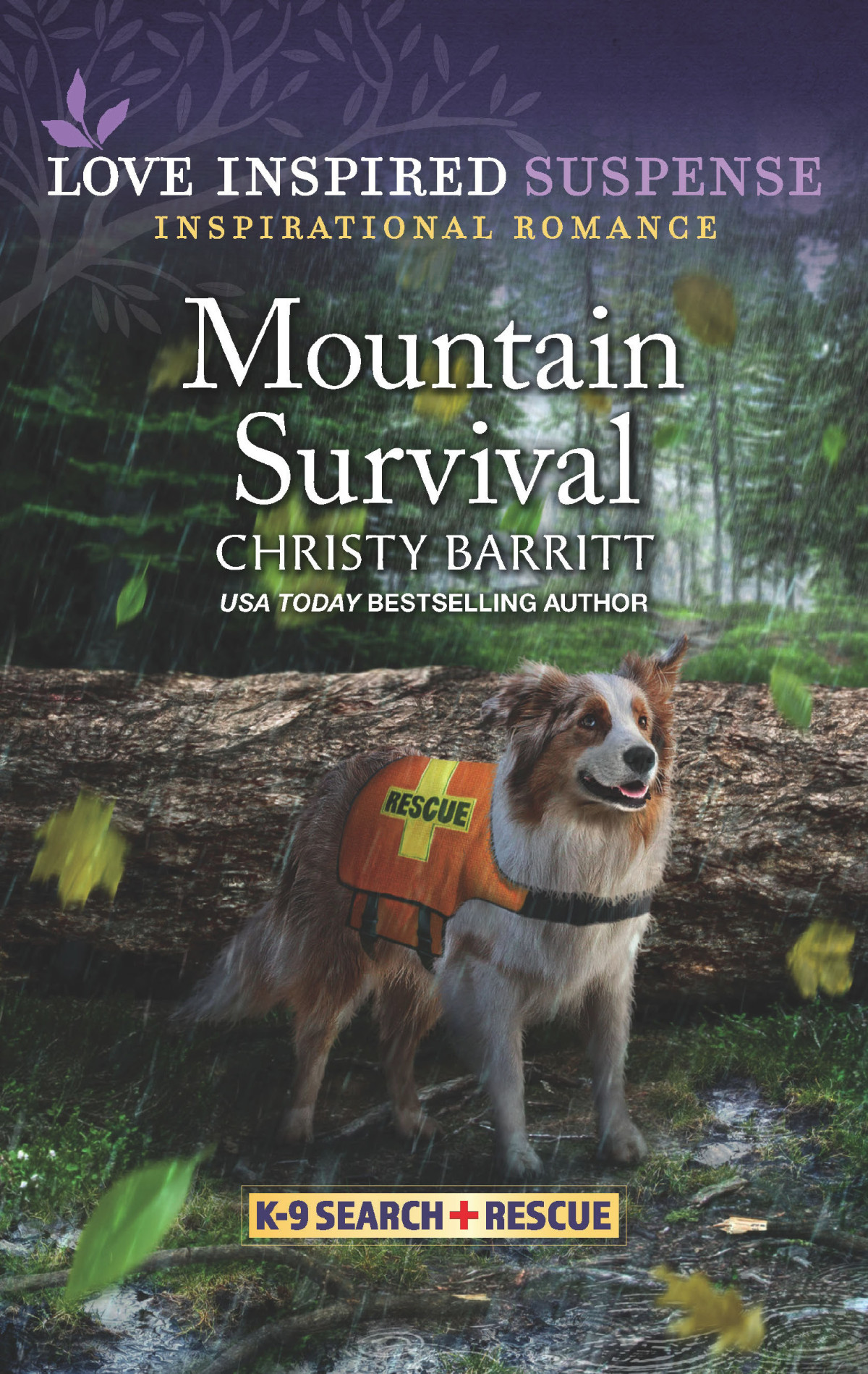 Mountain Survival Christy Barritt