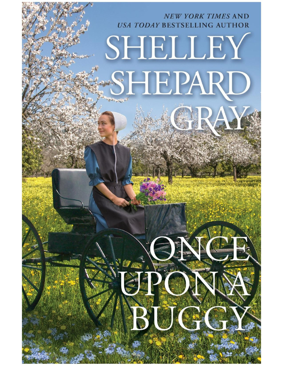 Once Upon A Buggy Shelley Shepard Gray