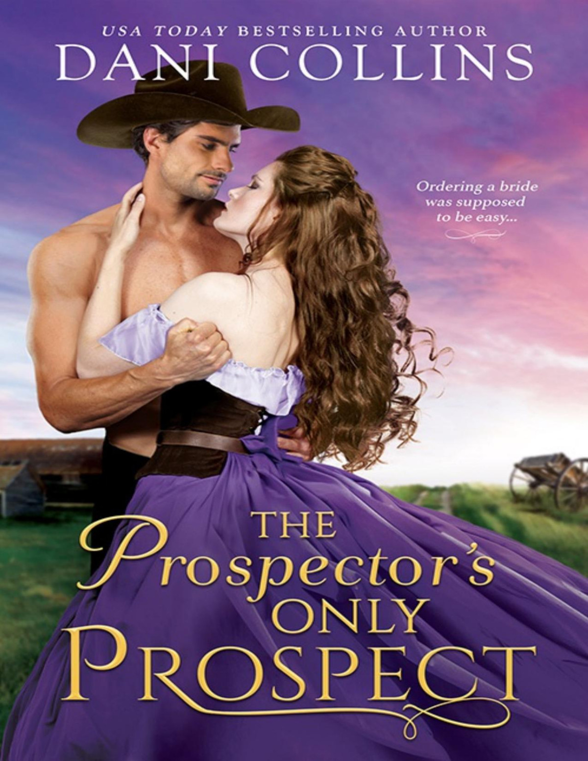 The Prospectors Only Prospect 1st Edition Dani Collins