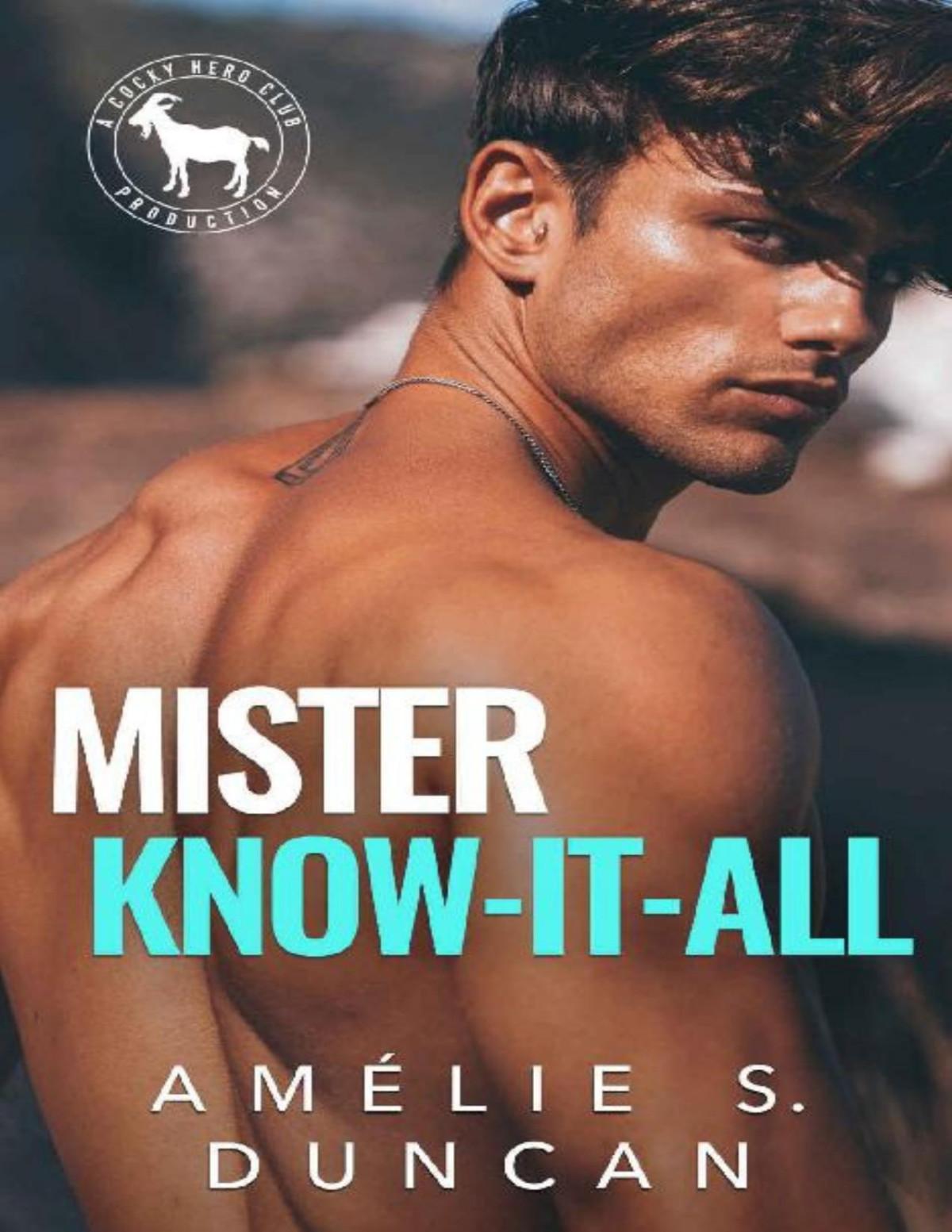 Mister Know It All A Hero Club Novel Amlie S Duncan Hero Club
