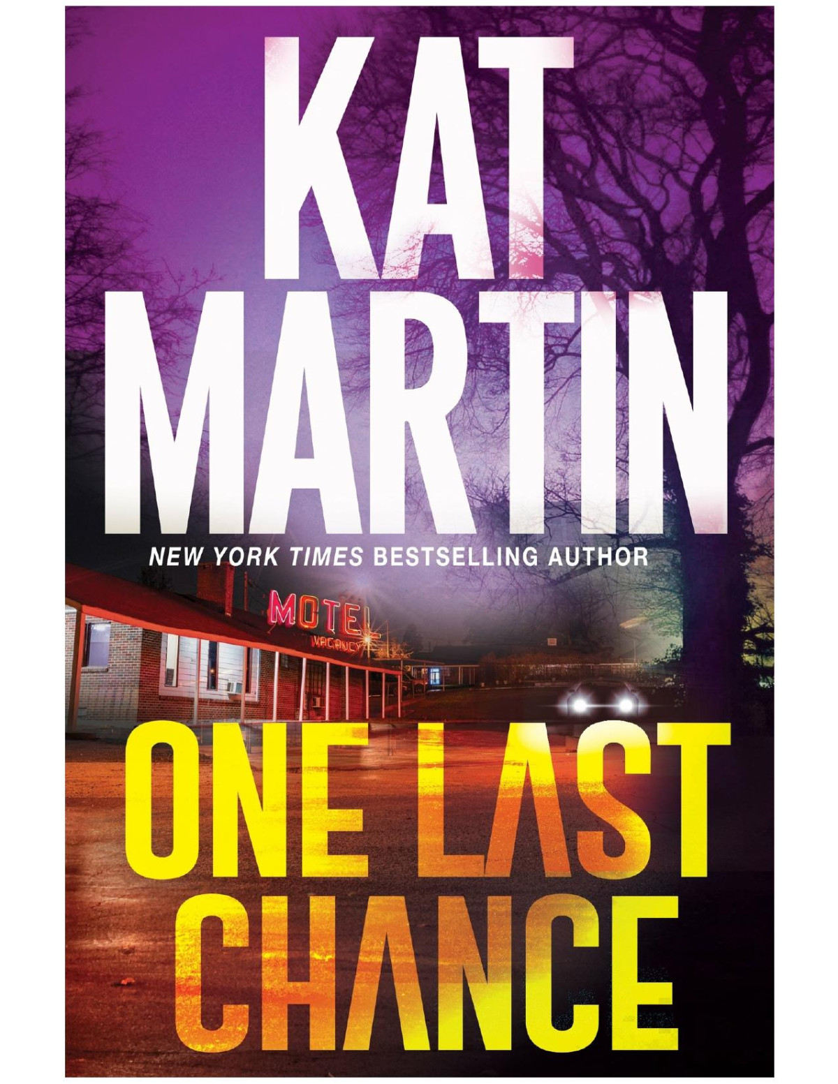 One Last Chance Kat Martin