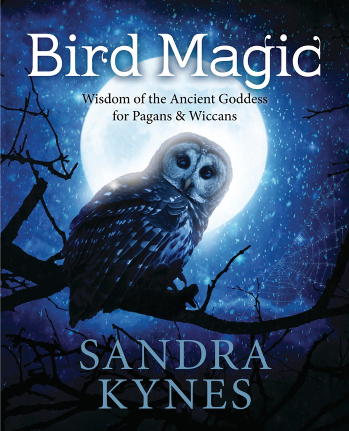 Bird Magic Wisdom Of The Ancient Goddess For Pagans Wiccans Sandra Kynes