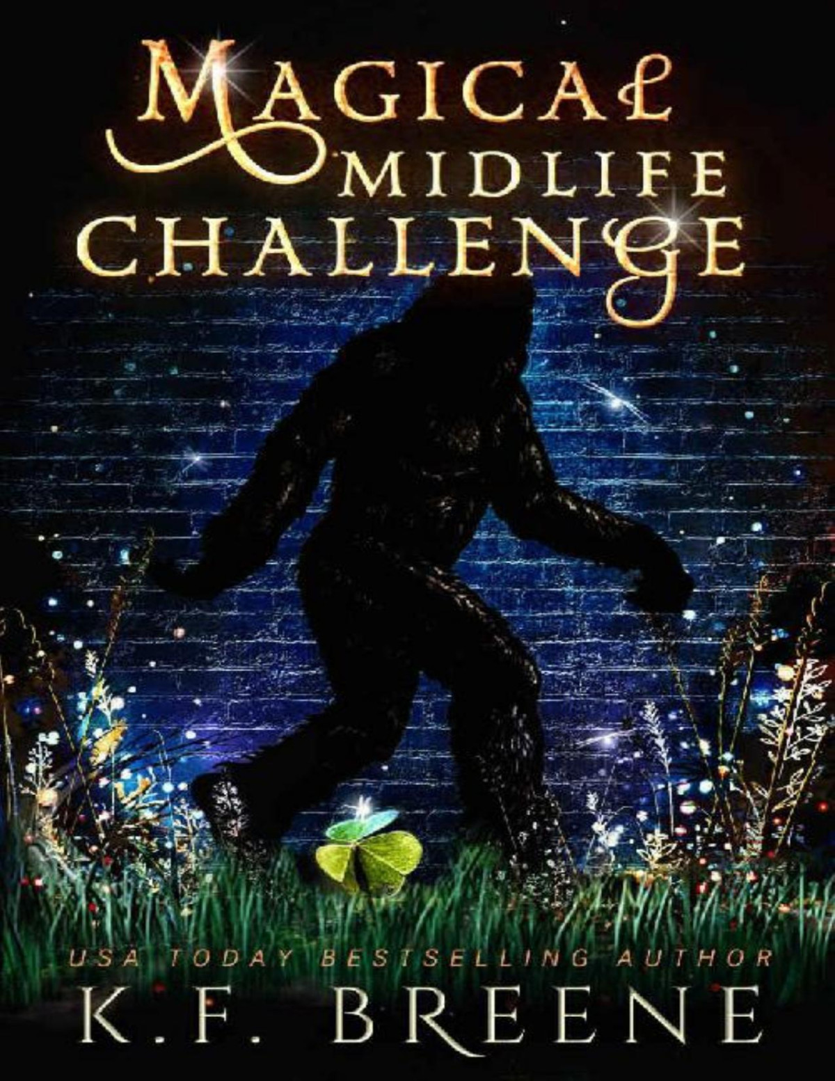 Magical Midlife Challenge Leveling Up Book 6 Kf Breene