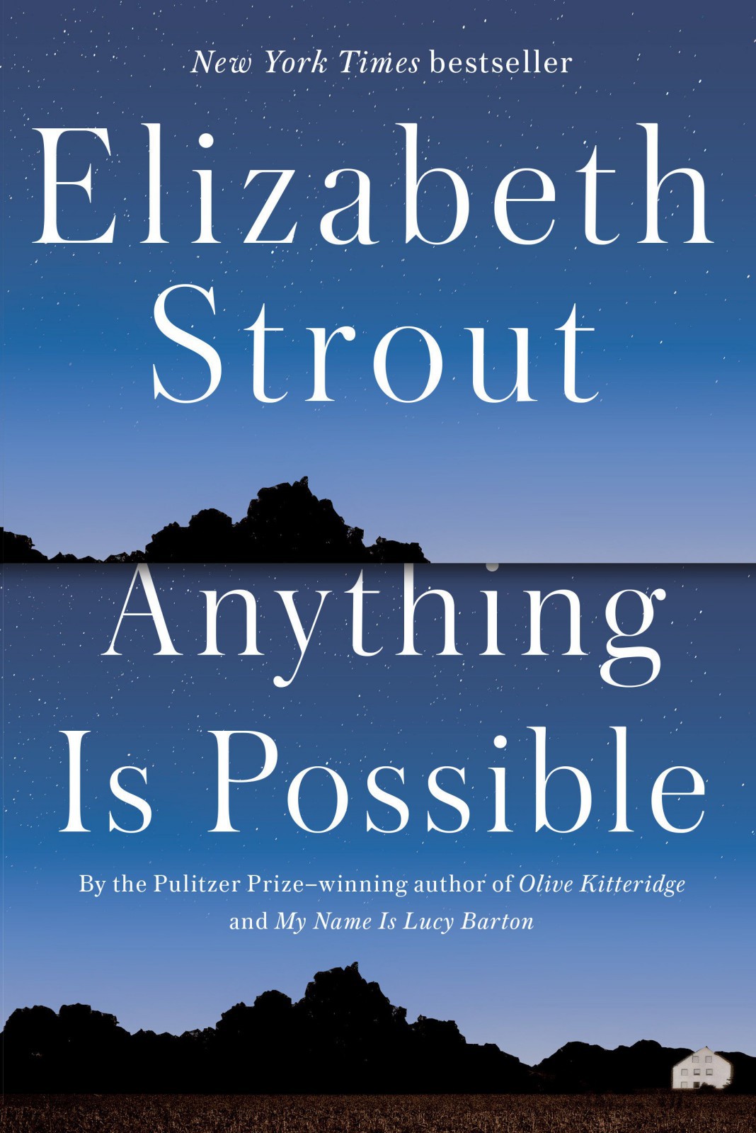 Anything Is Possible Elizabeth Strout