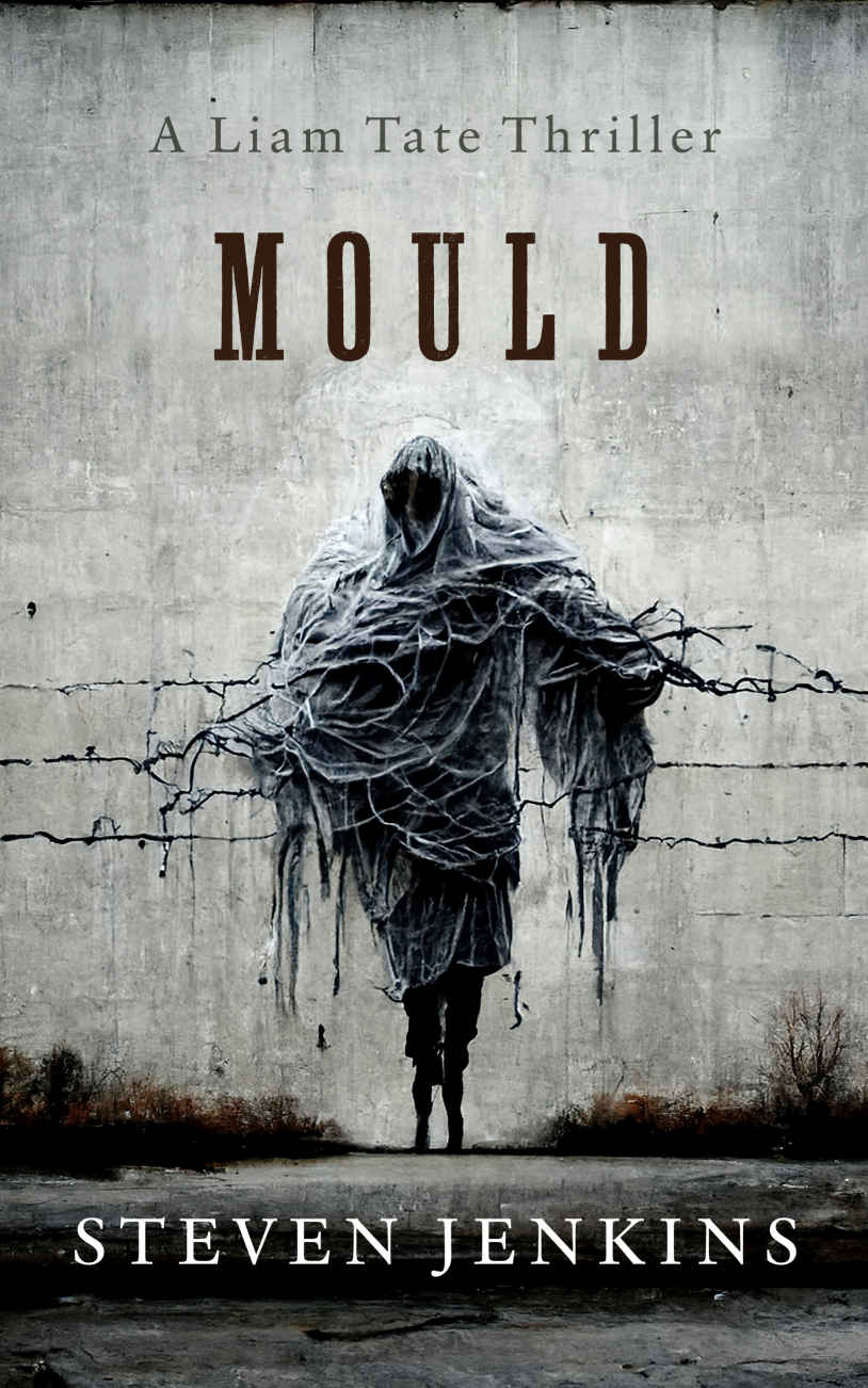 Mould A Liam Tate Supernatural Thriller 1 Steven Jenkins