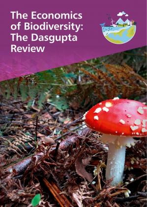 The Economics Of Biodiversity The Dasgupta Review Partha Dasgupta