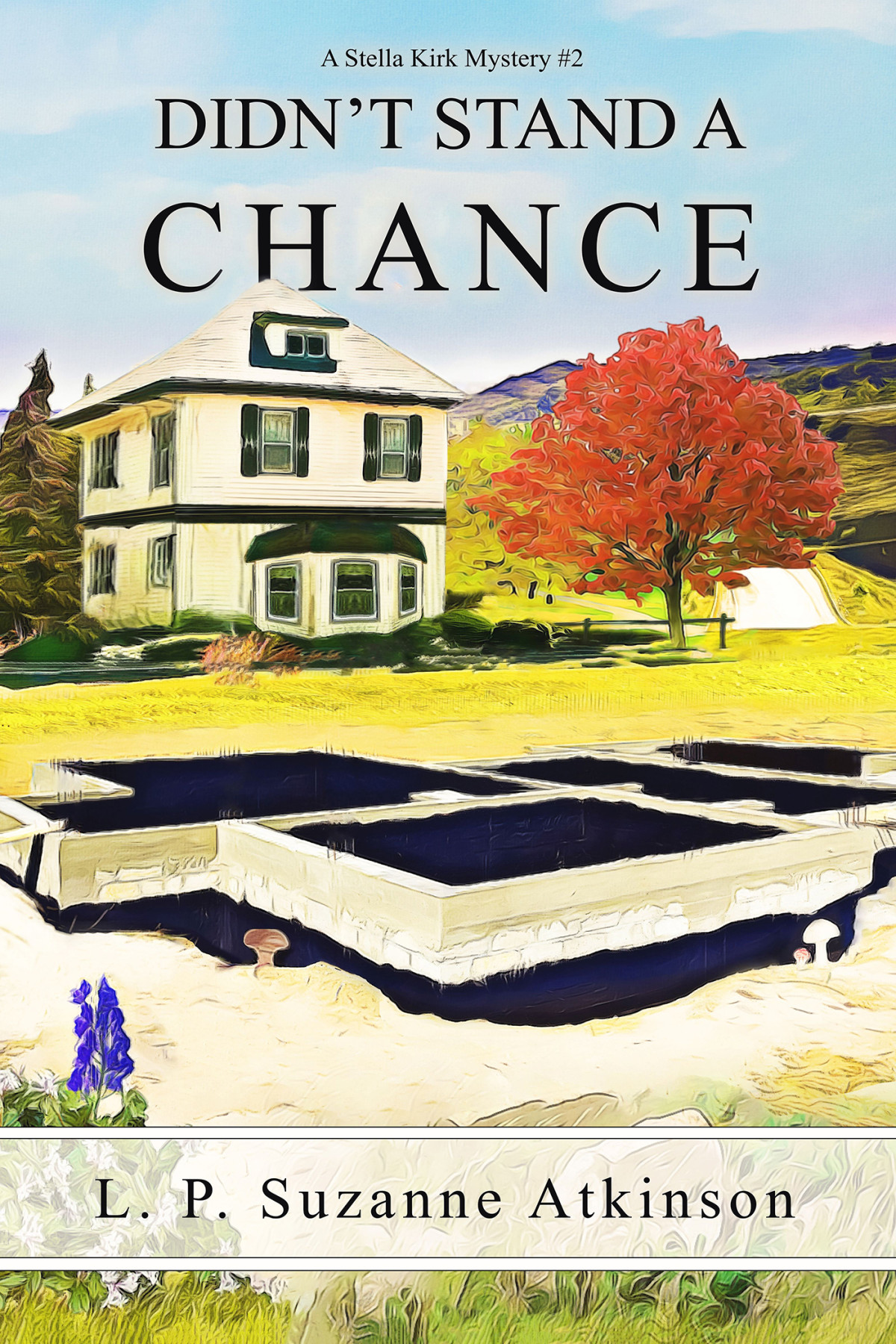 Didnt Stand A Chance L P Suzanne Atkinson