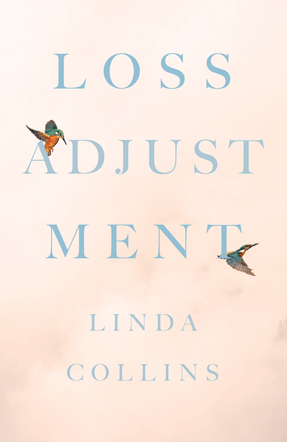 Loss Adjustment Linda Collins