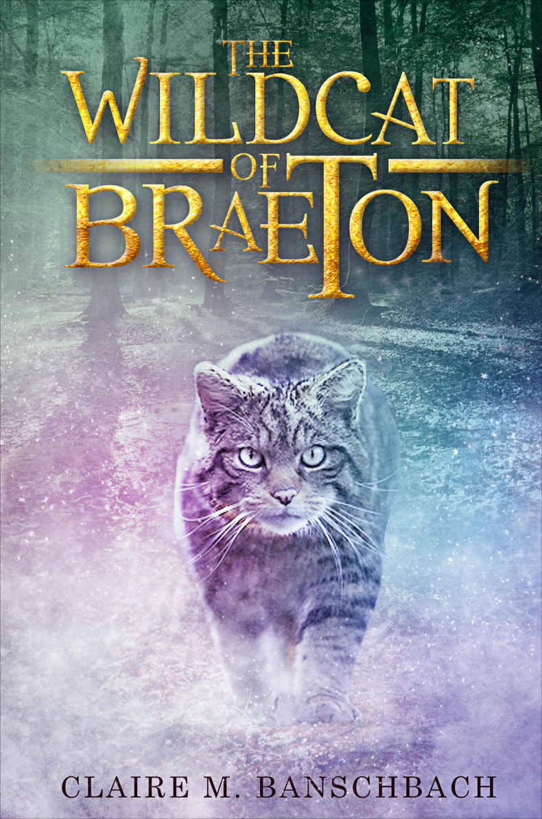 The Wildcat Of Braeton Claire M Banschbach