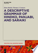 A Descriptive Grammar Of Hindko Panjabi And Saraiki 1st Edition Elena Bashir
