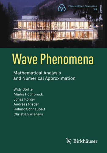 Wave Phenomena 1st Edition Willy Drfler Marlis Hochbruck Jonas Khler