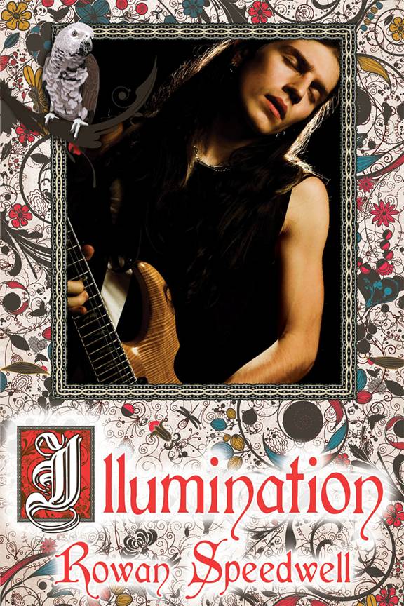 Illumination Rowan Speedwell