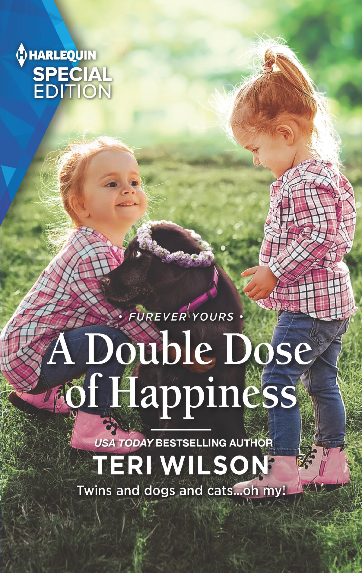 A Double Dose Of Happiness Teri Wilson