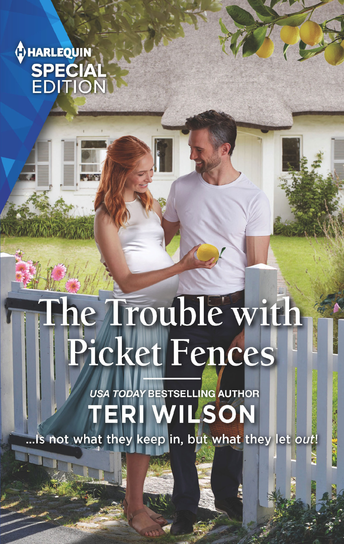 The Trouble With Picket Fences Teri Wilson