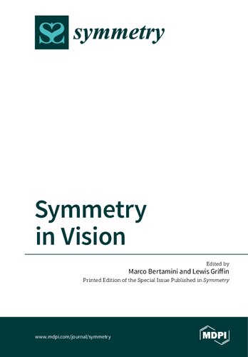 Symmetry In Vision Marco Bertamini Lewis Griffin