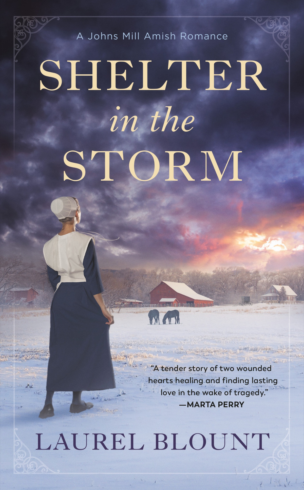 Shelter In The Storm Laurel Blount