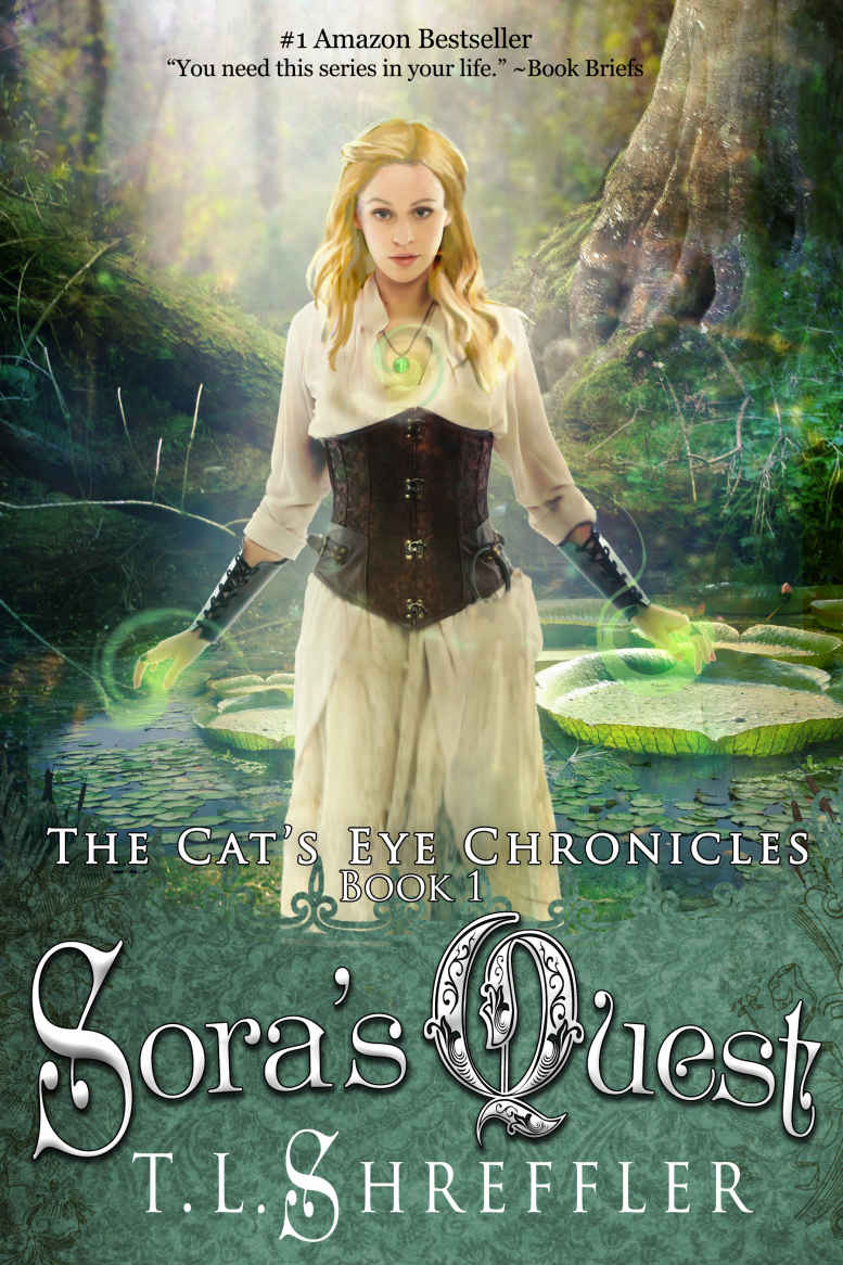 Soras Quest Tl Shreffler
