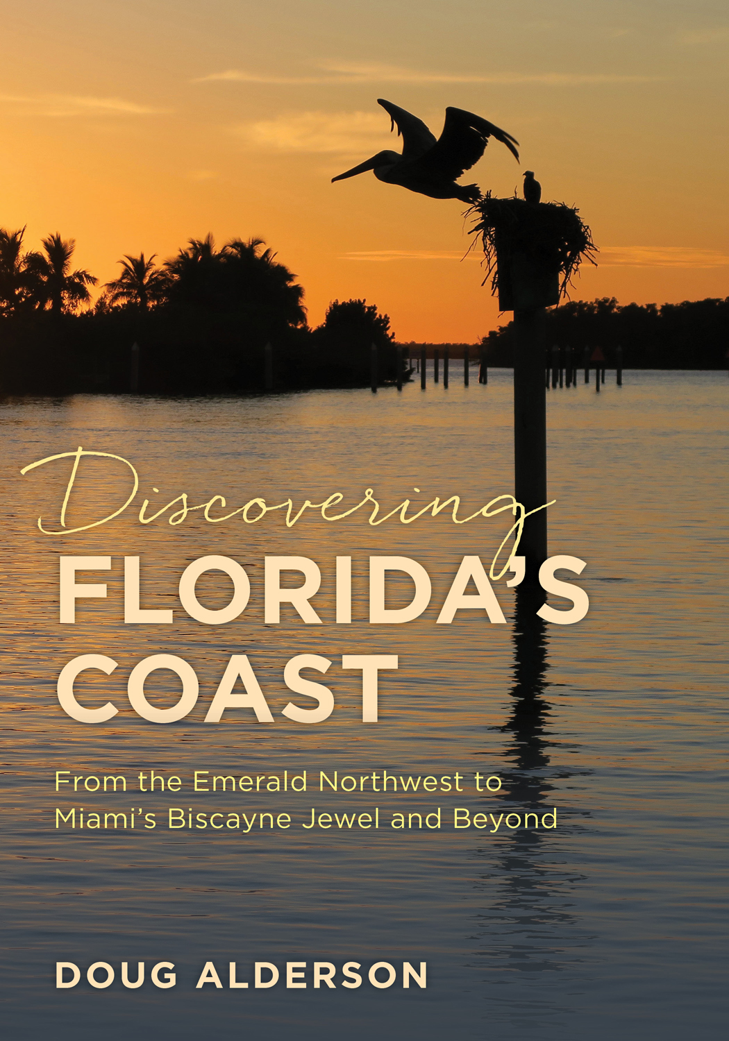 Discovering Floridas Coast From The Emerald Northwest To Miamis Biscayne Jewel And Beyond Doug Alderson