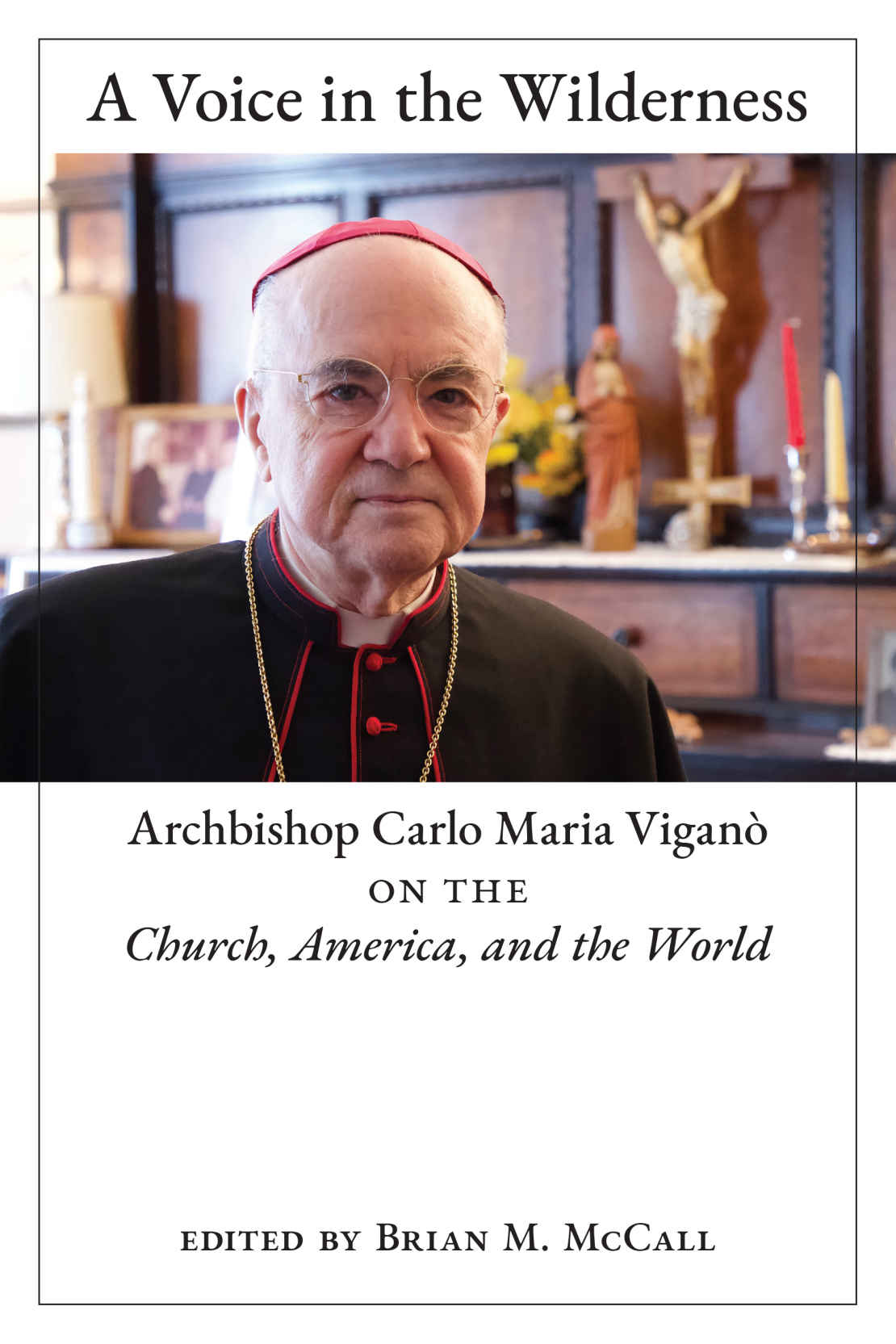 A Voice In The Wilderness Archbishop Carlo Maria Vigan On The Church America And The World Carlo Maria Vigan