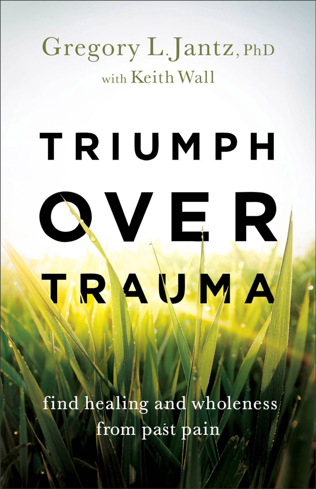 Triumph Over Trauma Find Healing And Wholeness From Past Pain Gregory L Phd Jantz Keith Wall