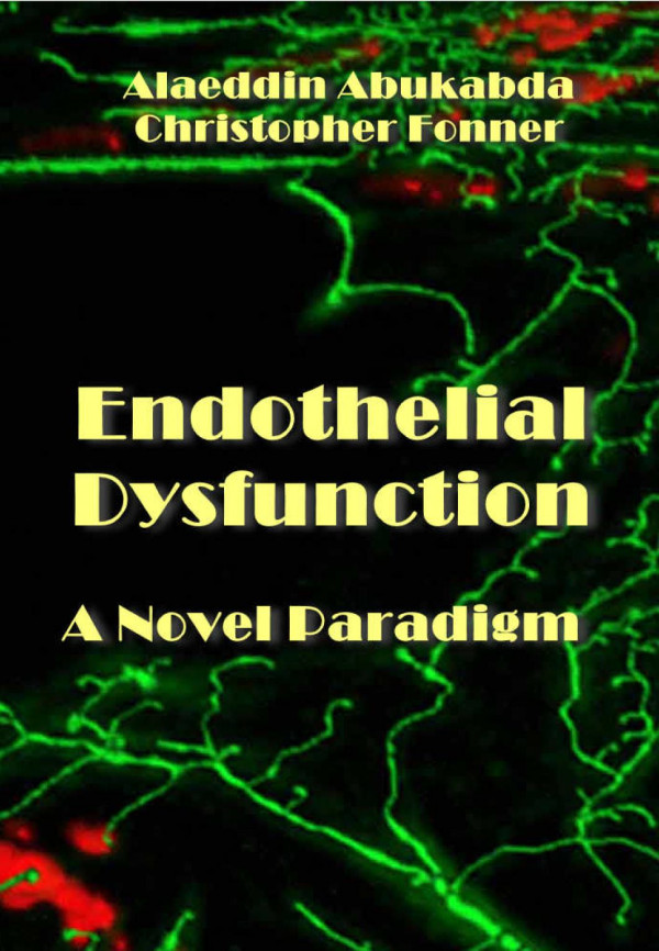 Endothelial Dysfunction A Novel Paradigm Alaeddin Abukabda