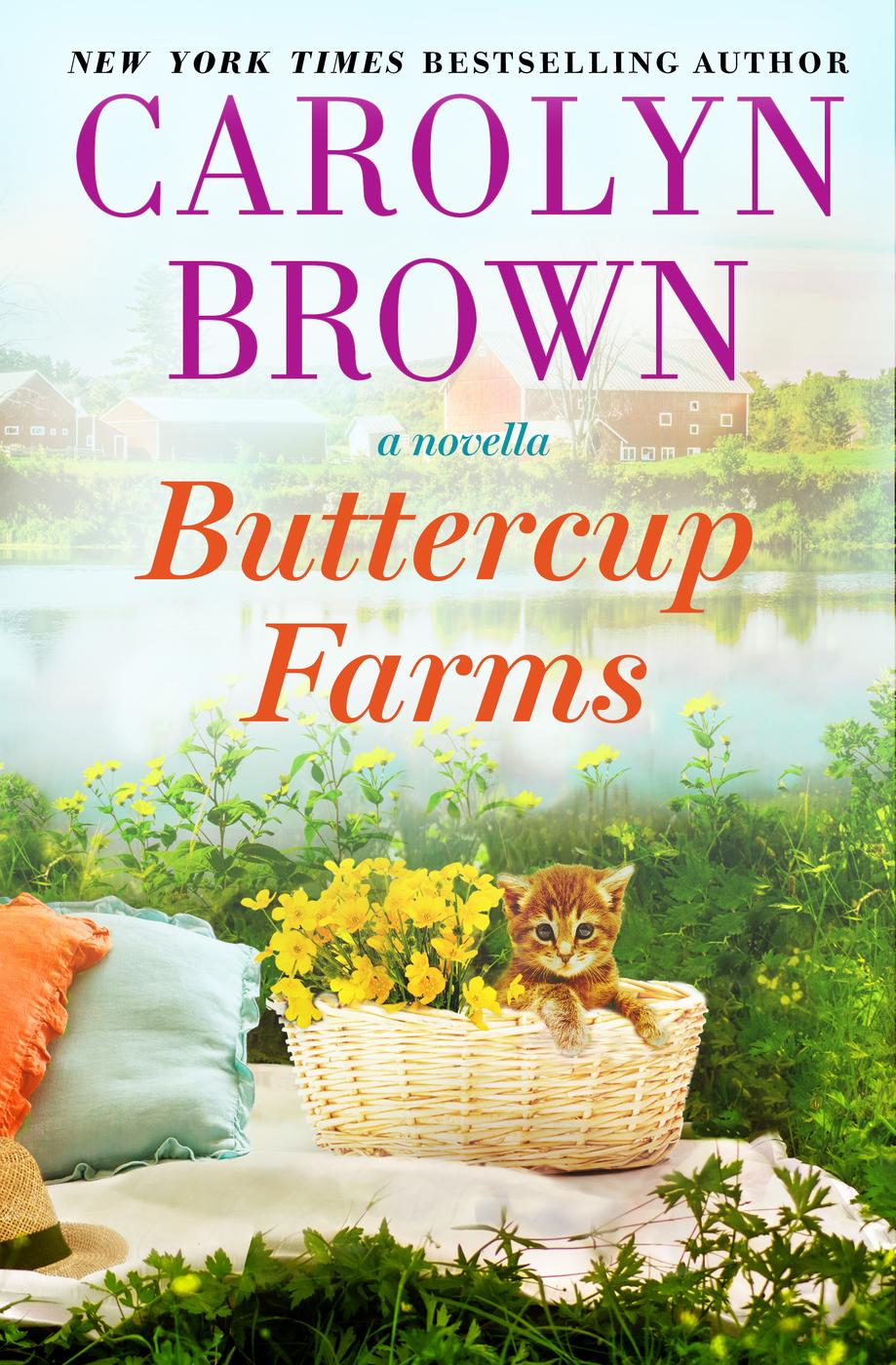 The Ryan Family 25 Buttercup Farms Carolyn Brown