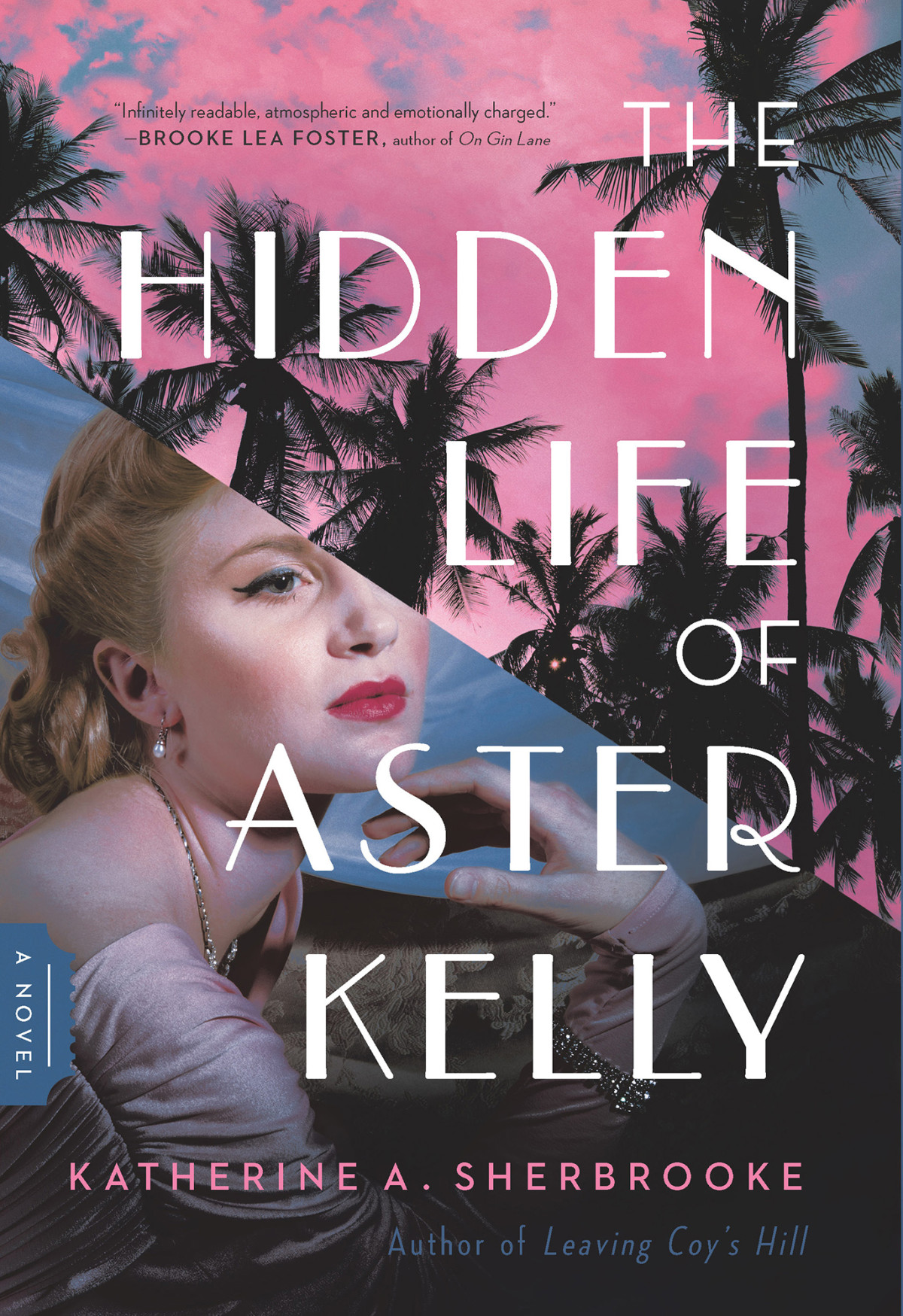 The Hidden Life Of Aster Kelly A Novel Katherine A Sherbrooke