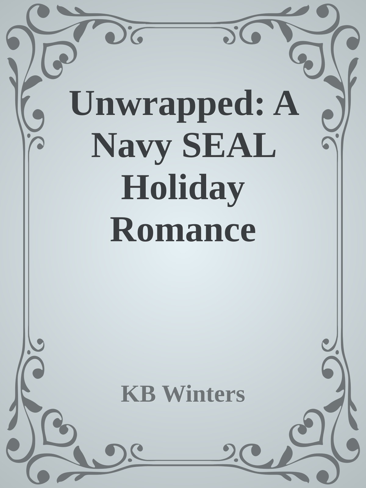 Unwrapped A Navy Seal Holiday Romance Kb Winters