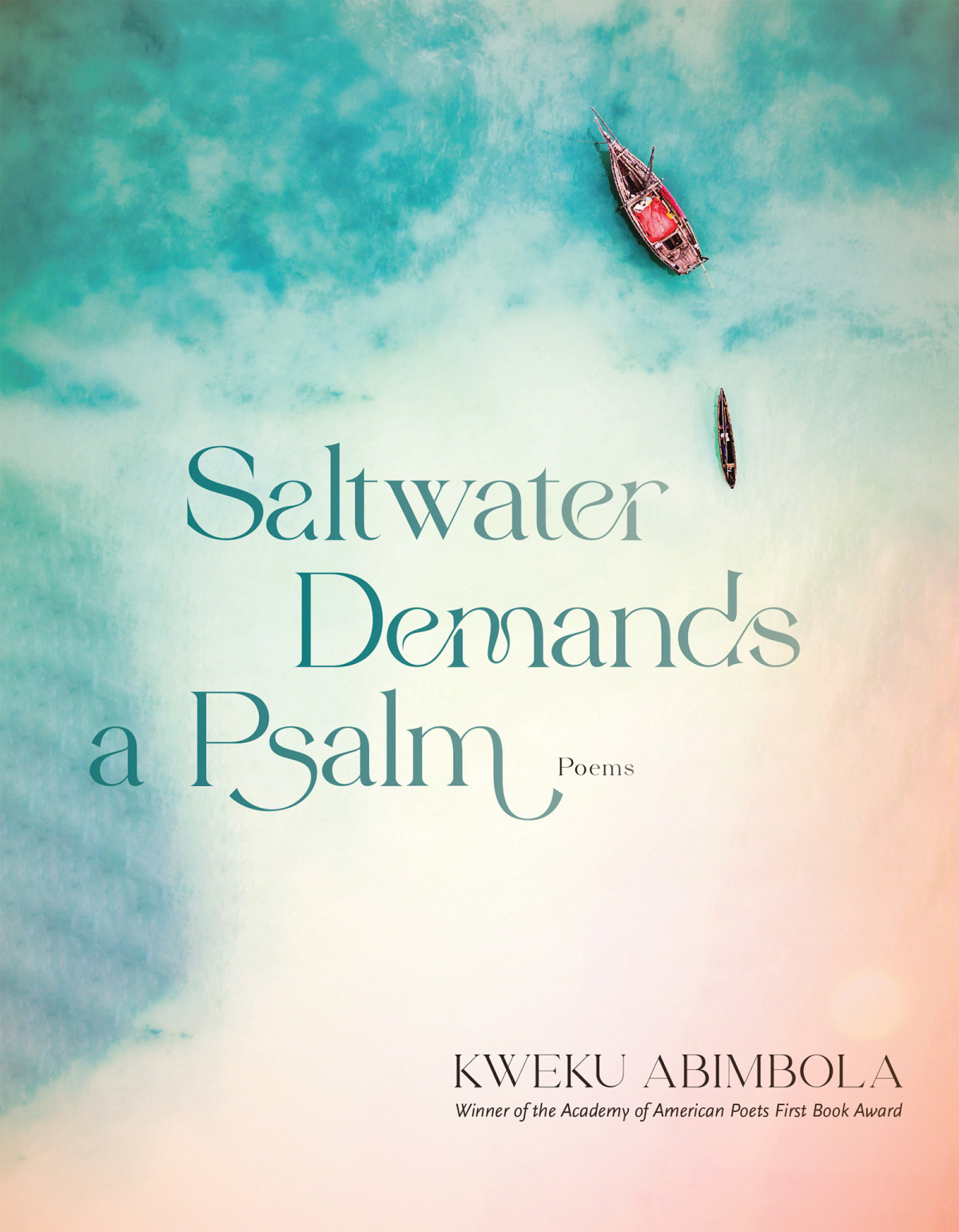 Saltwater Demands A Psalm Kweku Abimbola