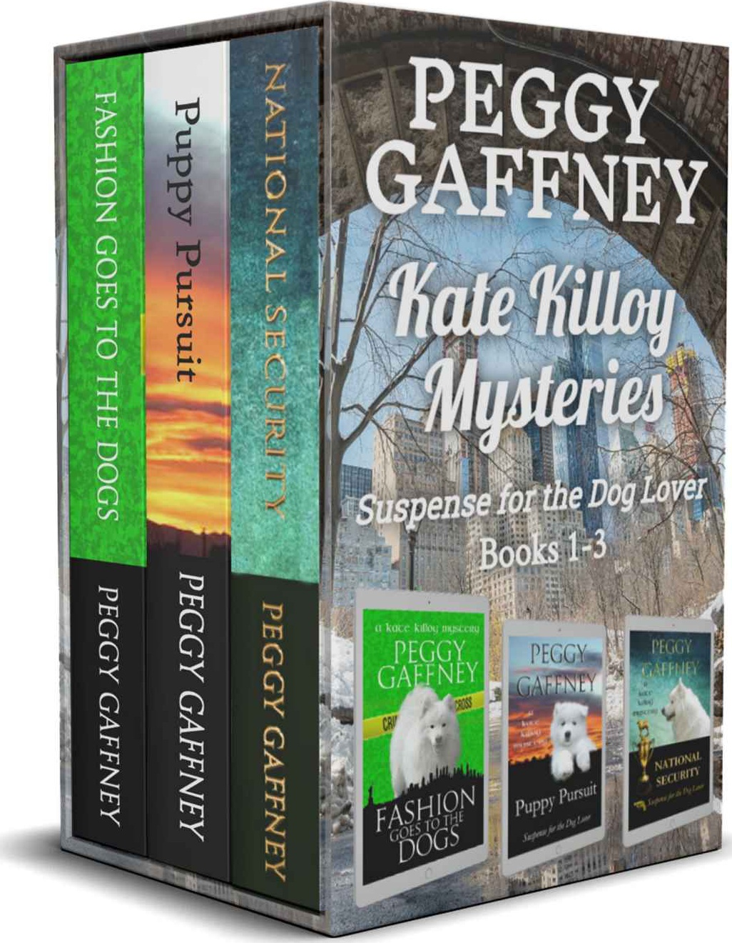 Kate Killoy Mysteries Box Set Peggy Gaffney