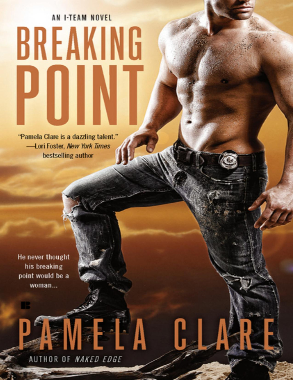 Breaking Point Pamela Clare