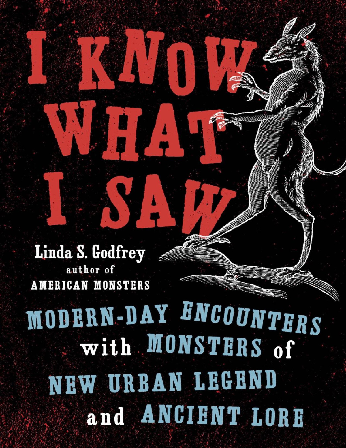 I Know What I Saw Linda S Godfrey