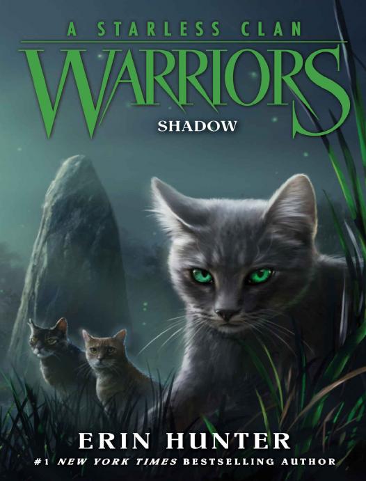 Warriors A Starless Clan 3 Shadow Erin Hunter